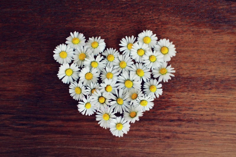 Mindfulness and Well-Being